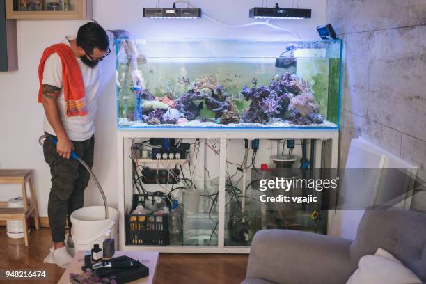 894 Fish Tank Home Stock Photos, High-Res Pictures, and Images