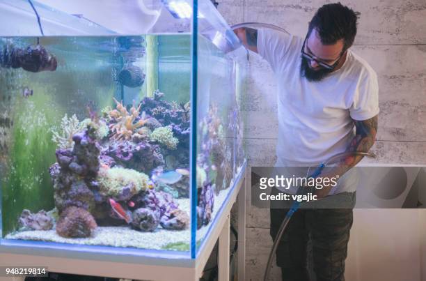 entretien du réservoir de corail - home aquarium photos et images de collection