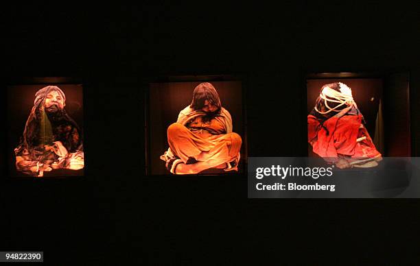 Life sized photographs of mummies in glass display cases will be seen by patrons until the refrigerated cases are completed in August. From Left to...