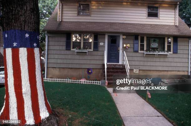 Drapeau américain peint sur le tronc d'un arbre après les attentats du 11 septembre, à New York, en septembre 2001, Etats-Unis.