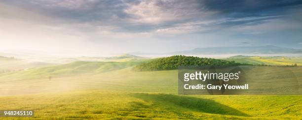 lush green panoramic landscape of tuscany - anhöhe stock-fotos und bilder
