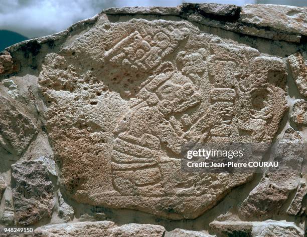 Engraved rock from the Zapotec site of Dainzu in the Valley of Oaxaca, Mexico. This character wears a buccal mask. The preserved part of his head...