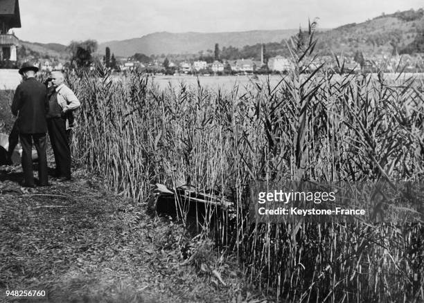 Le marais de Kussnacht, sur le lac des Quatre Cantons, lors de l'extraction de la voiture de la Reine Astrid après son accident mortel en août 1935 à...