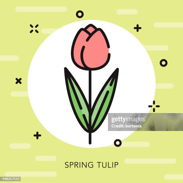 tulip open outline easter icon - resurrection stock illustrations