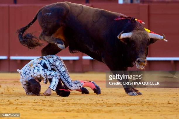 Bull jumps over a banderillero during a bullfigh at the Maestranza bullring, in Sevilla on April 18, 2018. / AFP PHOTO / CRISTINA QUICLER