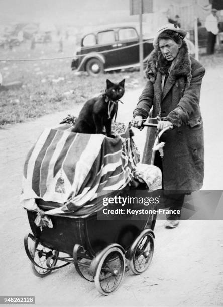 Une femme se rend au champ de course pour le derby en poussant un landau sur lequel est assis son chat noir, pour lui porter chance, le 2 juin 1937 à...