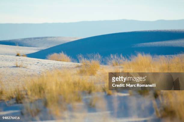 sand dunes and grasses - alamogordo stock pictures, royalty-free photos & images