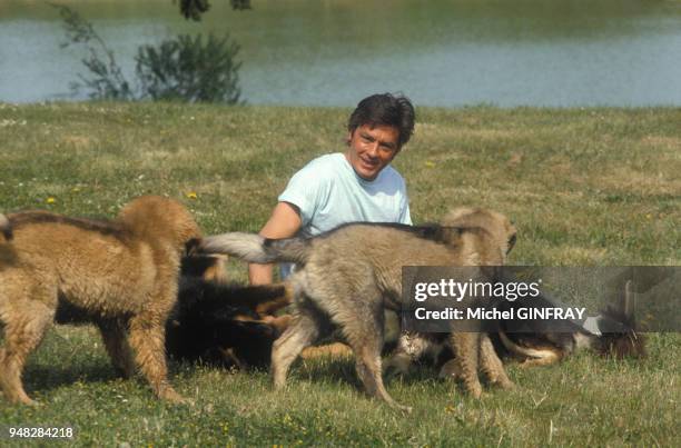 Acteur français Alain Delon avec ses chiens.