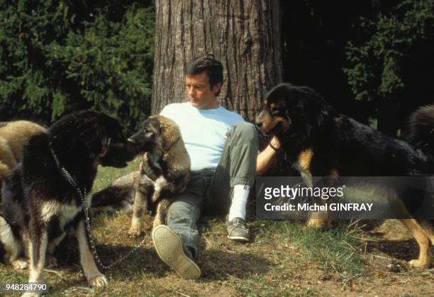 Acteur français Alain Delon avec ses chiens.
