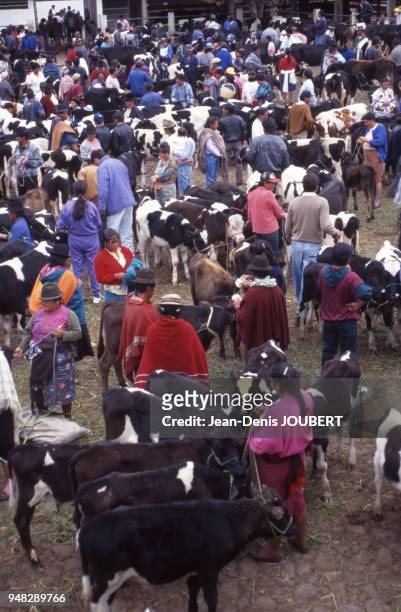 Marché au bétail à Ambato, en février 1995, Equateur.