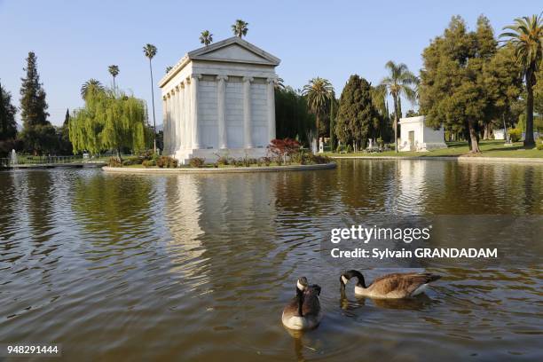 Hollywood Forever cemetery, where ara buried Johnny Ramone, Cecil B. DeMille, Jayne Mansfield, Rudolph Valentino, Douglas Fairbanks, and hundreds...