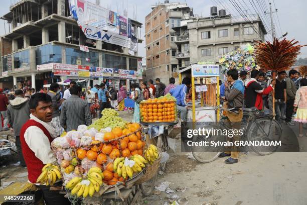 Nepal, City of Kathmandu, crowds of believers in the streets during the march 10th Maha Shivaratri , fruits seller//Nepal, ville de Kathmandou, des...