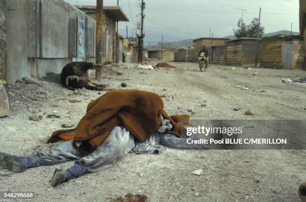 Un cadavre ayant été gazé en mars 1988 dans le village de Halabja, Irak.