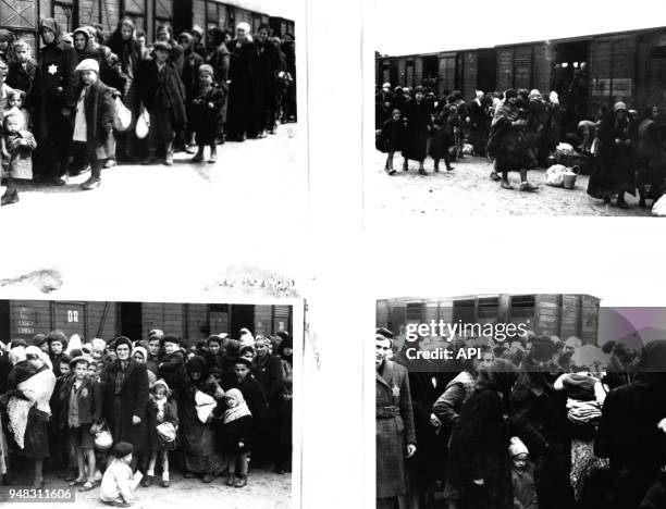 Page extraite de l'album d'Auschwitz, photographies de femmes et enfants déportés juifs, à la sortie du train de marchandises en 1944 à...