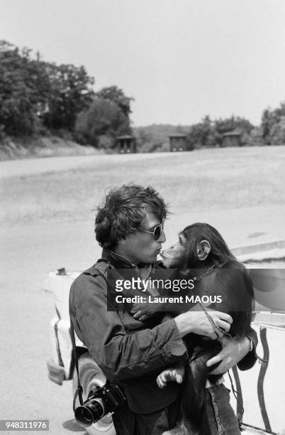 Ce chimpanzé dans les bras du photographe Laurent Maous s'était échappé du safari parc de Peaugres et retrouvé errant sur l'autoroute A7 en pleine...
