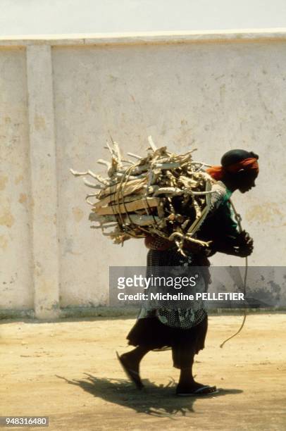Une femme pliée sous le poids du fagot de bois qu'elle a amassé en novembre 1980 à Djibouti.