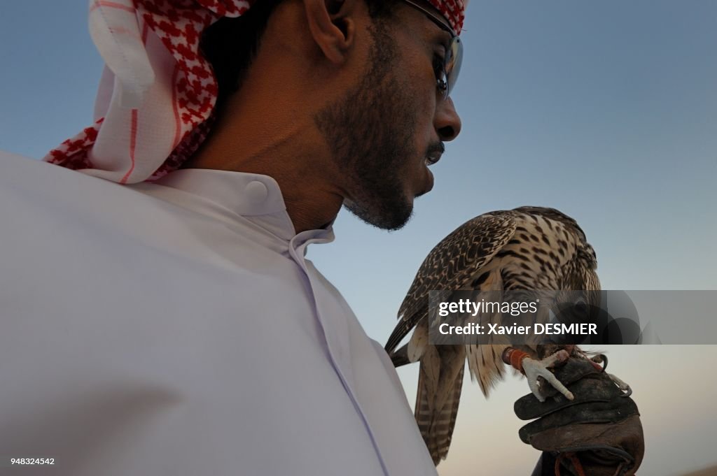 Training Falcons To Hunt In The Desert Of Abu Dhabi