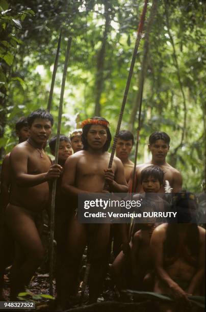 The Huaorani, Waorani or Waodani, also known as the Waos, are native Amerindians from the Amazonian Region of Ecuador who have marked differences...