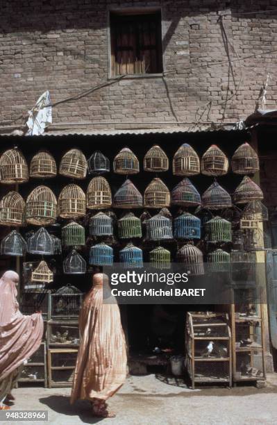 Animalerie à Peshawar, au Pakistan, en 1988.