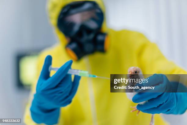 Poultry Injection 194 Poultry Injection Stock Photos, High-Res Pictures, and Images ...