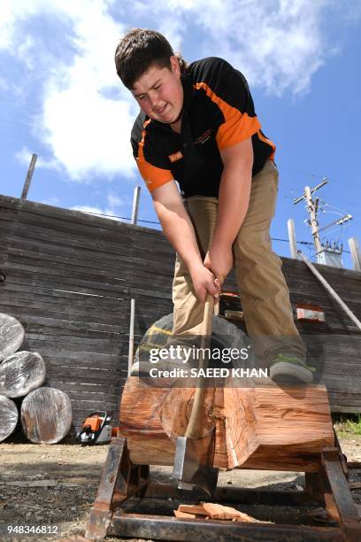 This photo taken on March 14, 2018 shows 18-year-old Curtis Bennett practising his wood-chopping skills for competition on his family property in...