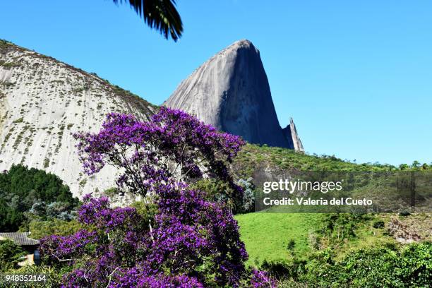 pedra azul framed by flowery tree - valeria del cueto stock pictures, royalty-free photos & images