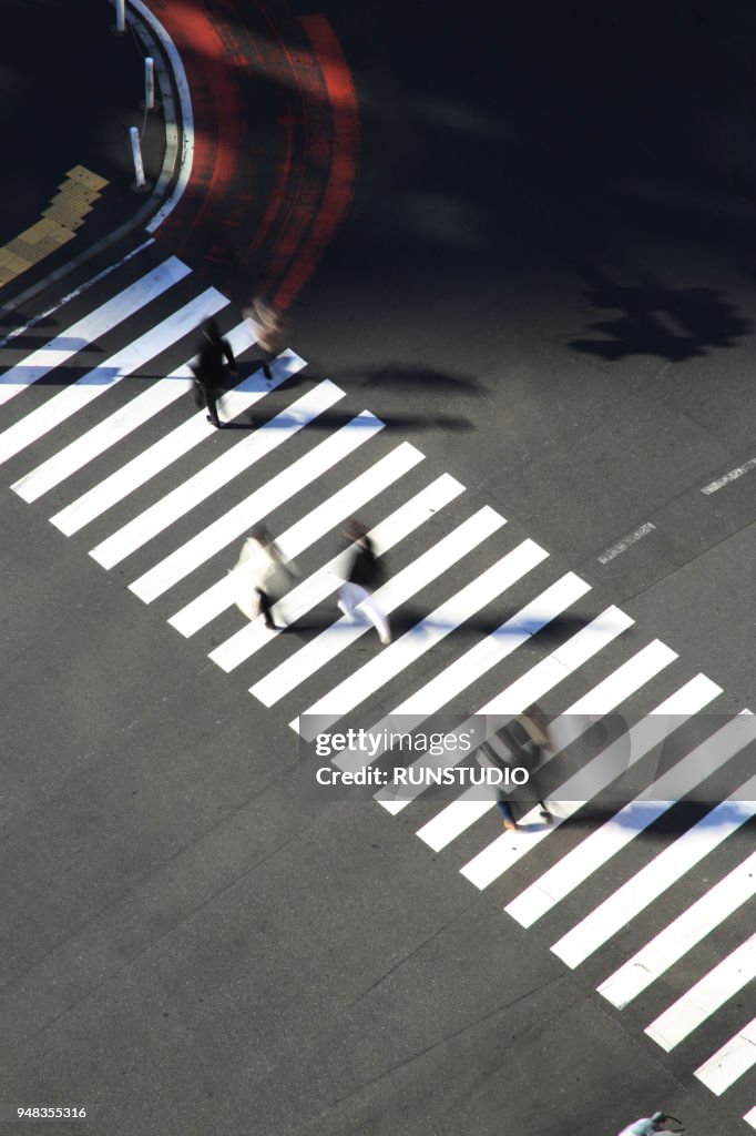 High angle view of pedestrians crossing Shibuya street