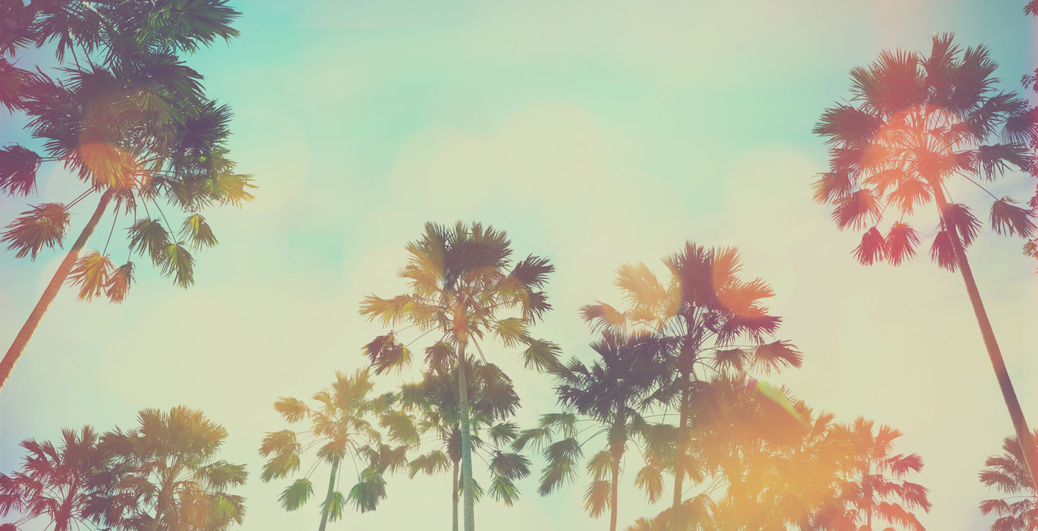 california style