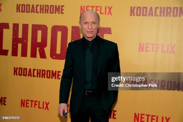 Ed Harris attends the premiere of Netflix's "Kodachrome" at ArcLight Cinemas on April 18, 2018 in Hollywood, California.