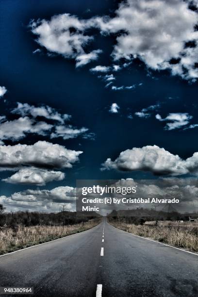 straight empty road, venezuela - guarico state stock pictures, royalty-free photos & images