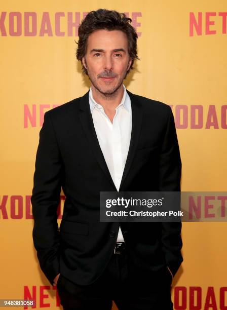 Shawn Levy attends the premiere of Netflix's "Kodachrome" at ArcLight Cinemas on April 18, 2018 in Hollywood, California.