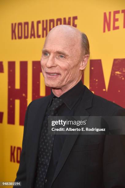 Ed Harris attends the premiere of Netflix's "Kodachrome" at ArcLight Cinemas on April 18, 2018 in Hollywood, California.