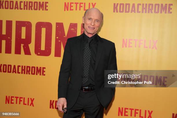 Ed Harris attends the premiere of Netflix's "Kodachrome" at ArcLight Cinemas on April 18, 2018 in Hollywood, California.