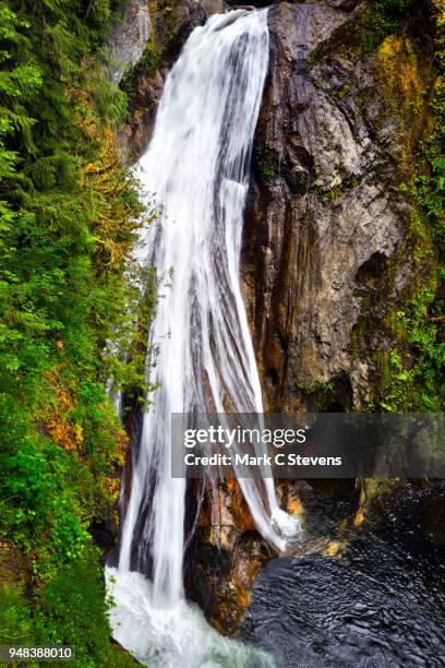tentacles of water - cataratas lower falls fotografías e imágenes de stock