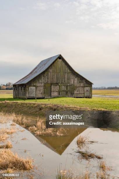 wooden barn reflected in pond against sky - seattle house stock pictures, royalty-free photos & images