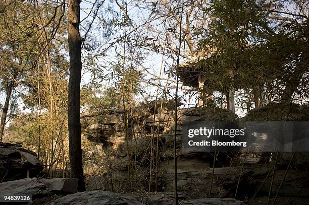 Keyuan Oak 44 Keyuan Stock Photos, High-Res Pictures, and Images - Getty Images