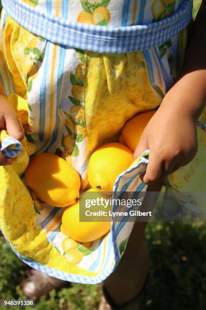 a young girl holds fresh lemons in the apron of her dress during spring - sorrento stock pictures, royalty-free photos & images