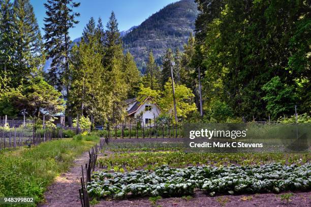 a small farm nestled in the mountains of stehekin and the lake chelan national recreation area - castle rock colorado stock pictures, royalty-free photos & images