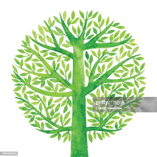 watercolor green tree circle - branch plant part stock illustrations
