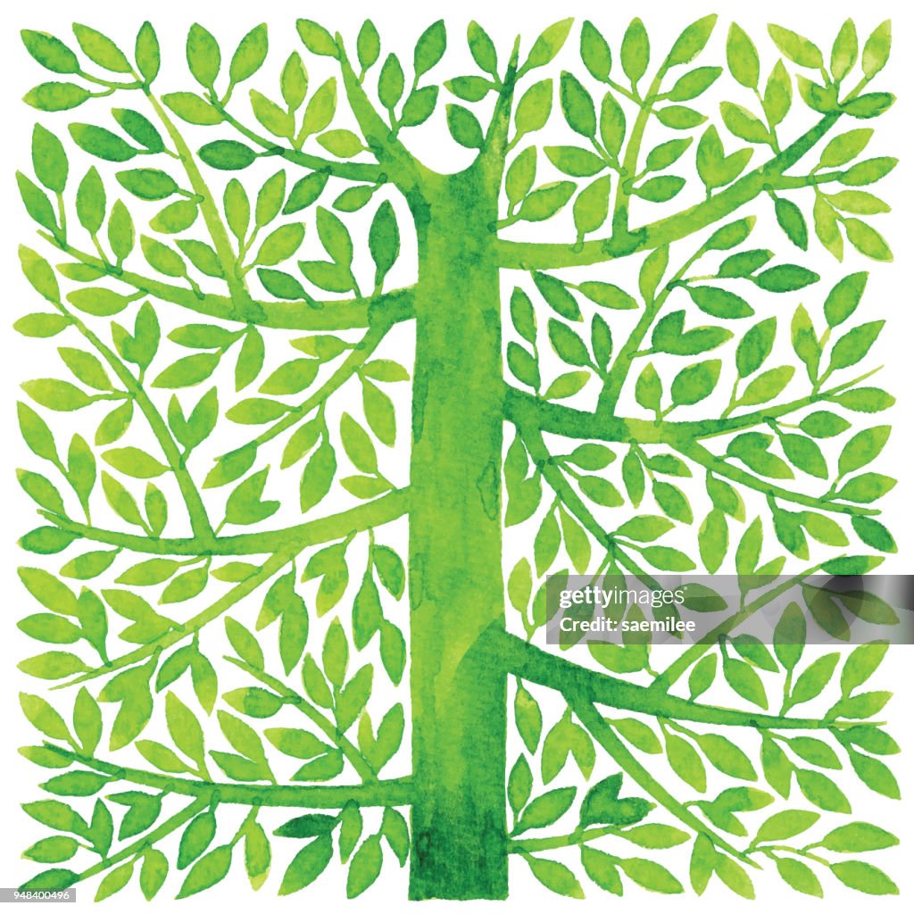Watercolor Green Tree Square