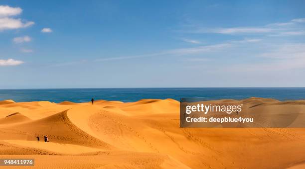 dunes of maspalomas - canary islands, spain - ilha de gran canaria imagens e fotografias de stock