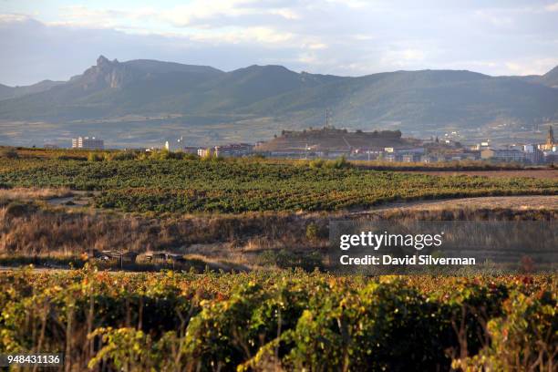 Vineyards dominate the landscape around the village of San Vicente de la Sonsierra on October 15, 2016 in the autonomous province of La Rioja in...