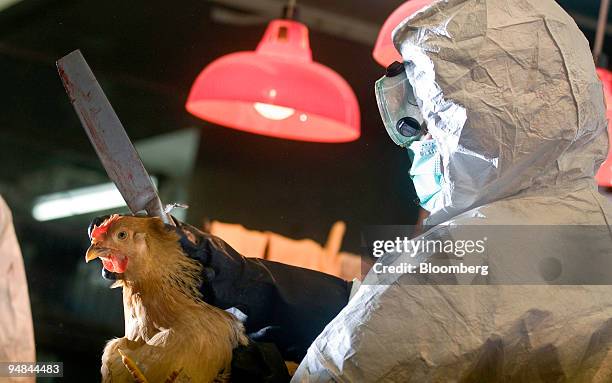 Worker wearing protective dress participates in the slaughtering of approximately 2,700 chickens at a market in the Kowloon district of Hong Kong,...