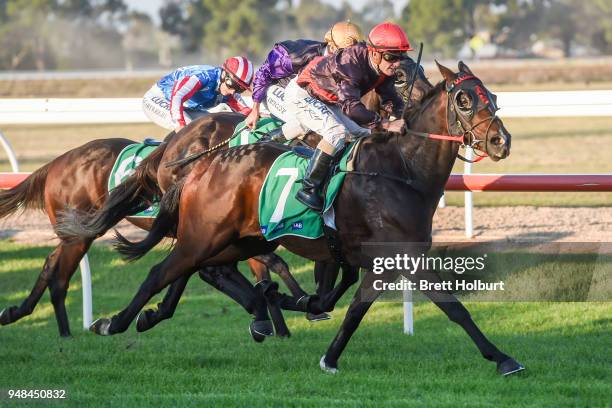 Crisis Point ridden by Jarrod Fry wins the Werribee Open Range Zoo BM58 Handicap at Werribee Racecourse on April 19, 2018 in Werribee, Australia.