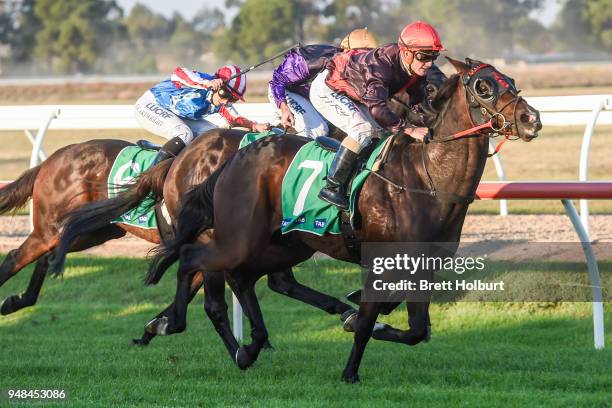 Crisis Point ridden by Jarrod Fry wins the Werribee Open Range Zoo BM58 Handicap at Werribee Racecourse on April 19, 2018 in Werribee, Australia.