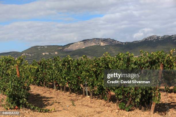 Vineyards dominate the landscape around the village of Sajazarra on October 14, 2016 in the autonomous province of La Rioja in northern Spain. The...