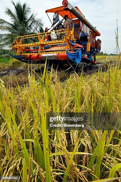 Contract workers harvest rice with a combine on a rice paddy in Sai Noi district in Nonthaburi province, Thailand, on Monday, April 28, 2008....