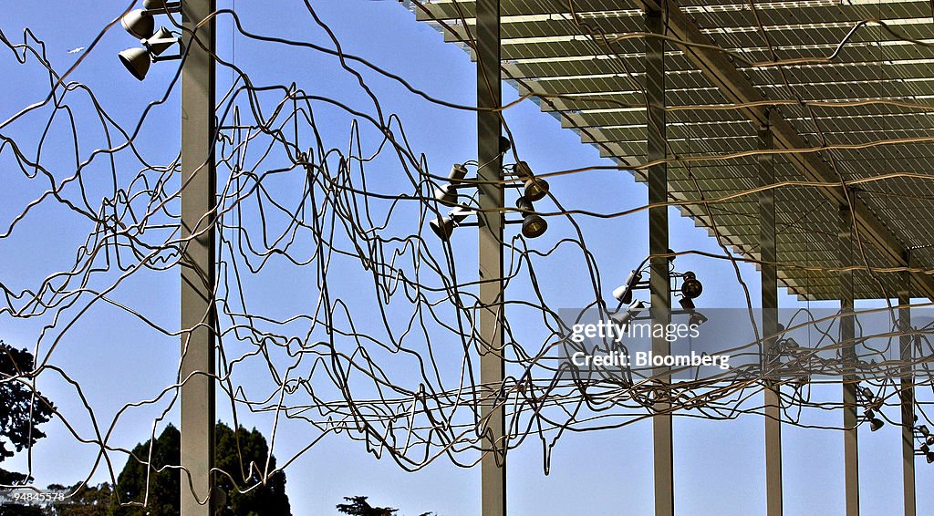 Where The Land Meets The Sea, a tubular wire sculpture by