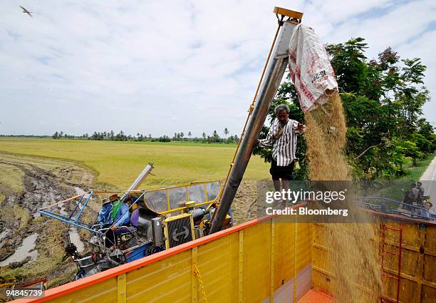 Truck is filled with freshly harvested rice at a paddy field in Sai Noi district in Nonthaburi province, Thailand, on Monday, April 28, 2008....