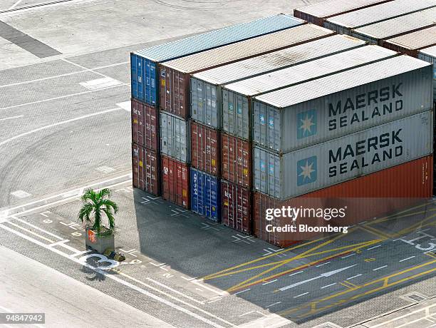 Small palm tree is dwarfed by shipping containers stacked in PSA Corp.'s Tanjong Pagar Container Terminal port in Singapore on Tuesday, April 13,...